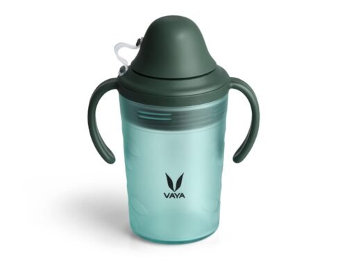 VAYA DRYNK WITH SPOUT LID 280ML (FROSTED GREEN)