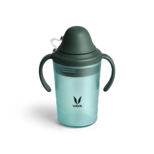 VAYA DRYNK WITH SPOUT LID 280ML (FROSTED GREEN)