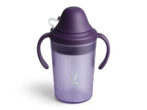 VAYA DRYNK WITH SPOUT LID 280ML (FROSTED PURPLE)