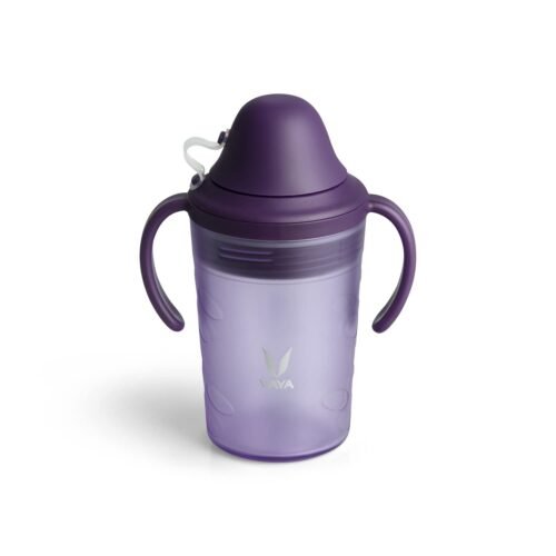 VAYA DRYNK WITH SPOUT LID 280ML (FROSTED PURPLE)