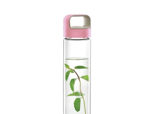 BOROSIL GLASS W/B-PINK LID 550ML