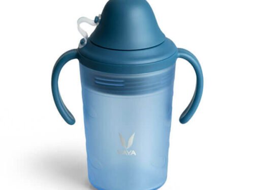 VAYA DRYNK WITH SPOUT LID 280ML (FROSTED BLUE)