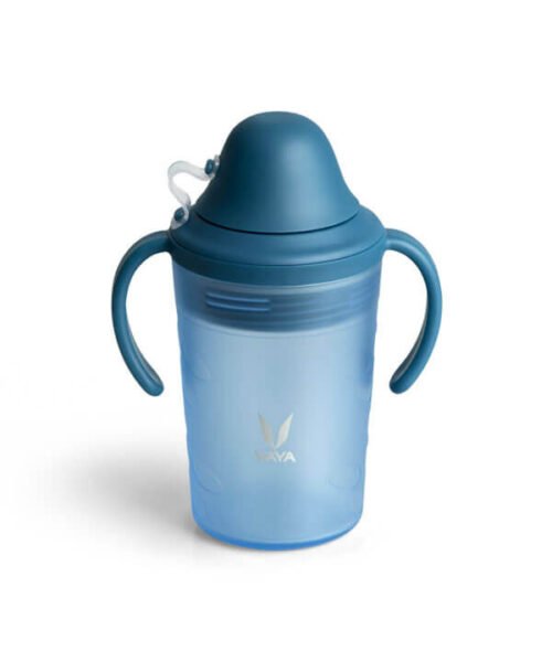 VAYA DRYNK WITH SPOUT LID 280ML (FROSTED BLUE)