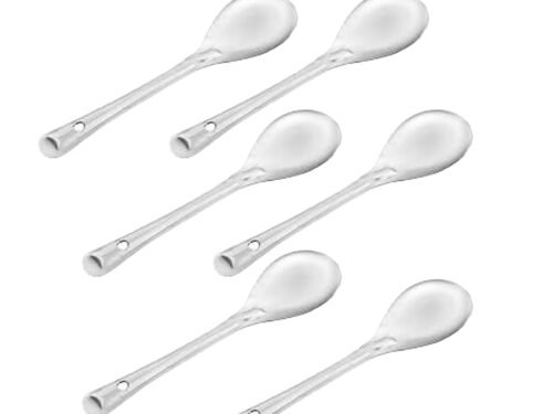 KESARIYA SS LADDLE ECO OVAL(SET OF 6)