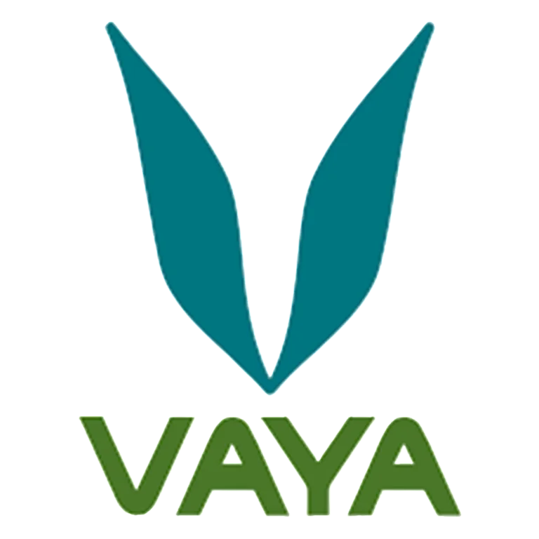 1742546097590-vaya-1-768x768-Photoroom
